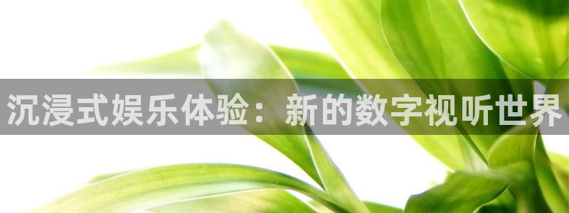三牛娱乐：沉浸式娱乐体验：新的数字视听世界