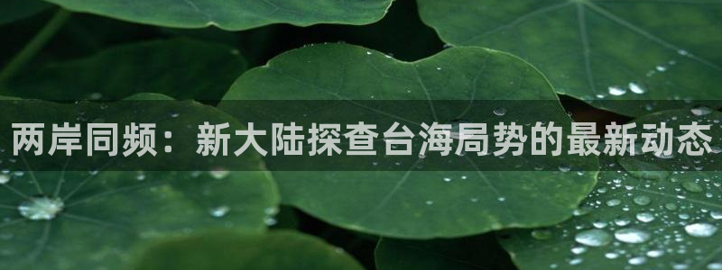 三牛娱乐：两岸同频：新大陆探查台海局势的最新动态